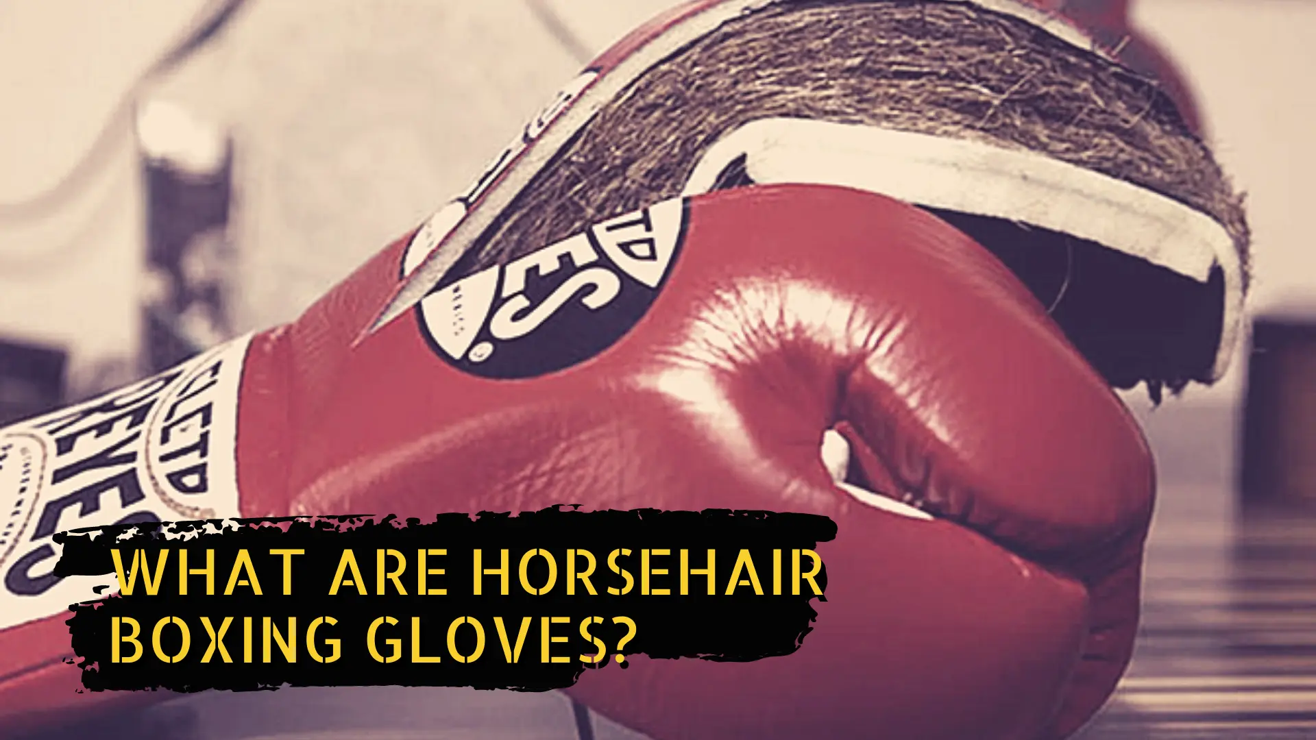 horsehair boxing gloves cut open