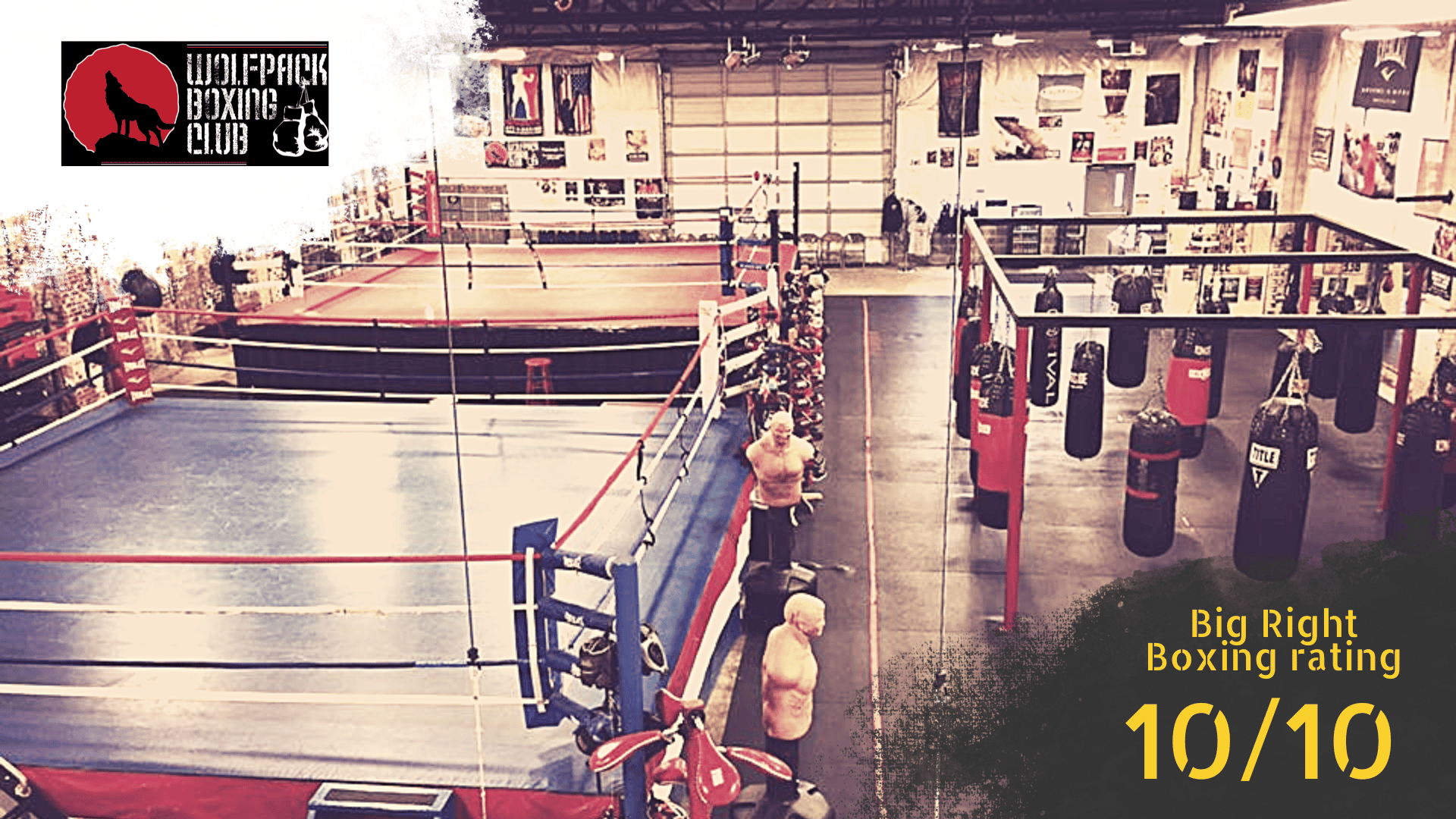 Wolfpack boxing gym in pittsburgh