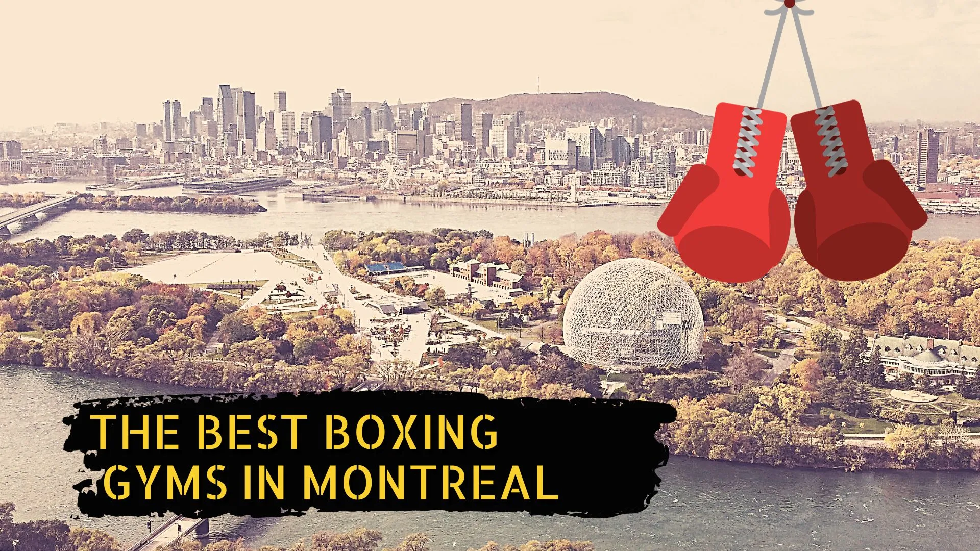 Montreal skyline and the title the best boxing gyms in Montreal