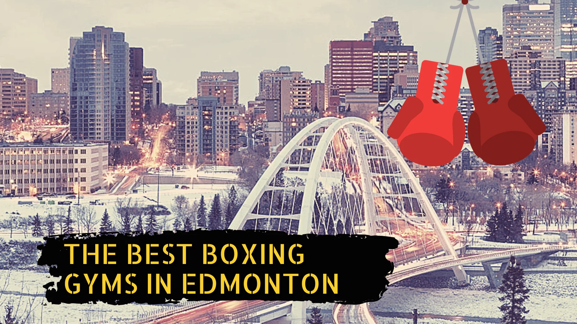 Edmonton skyline, some boxing gloves, and the title the best boxing gyms in Edmonton