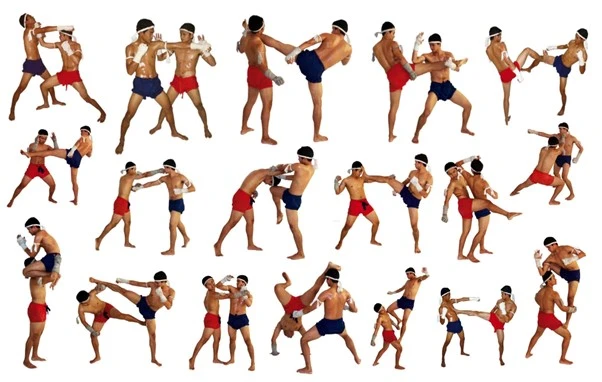 The many different moves of Muay Thai